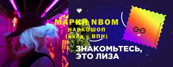 соль ск Бородино