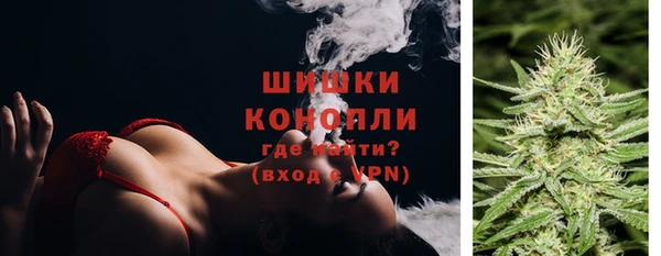 соль ск Бородино