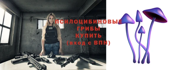 соль ск Бородино